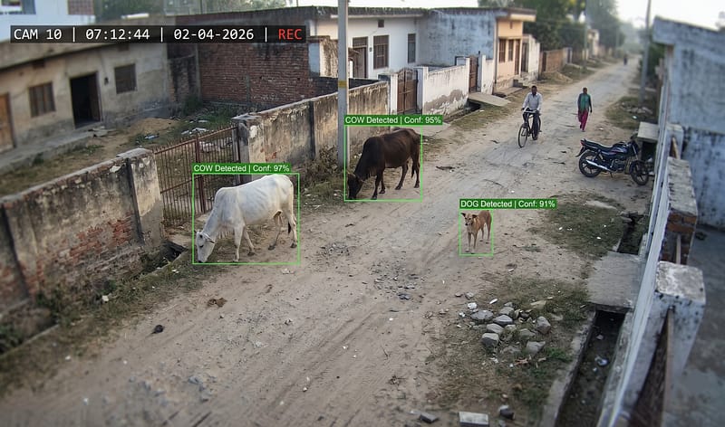 Enhanced animal detection with hybrid AI.