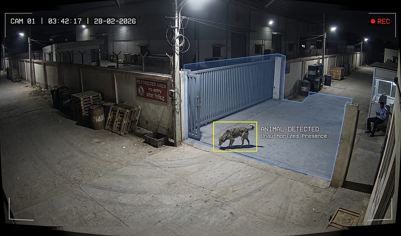 Animal Detection